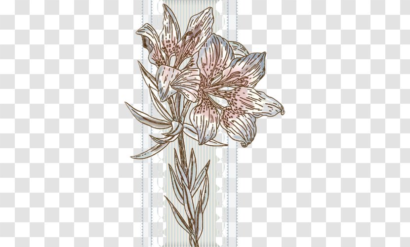 Floral Design - Flora - World Wide Web Transparent PNG