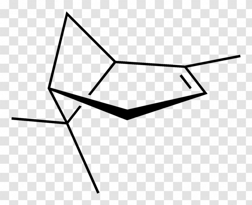 Alpha-Pinene Beta-Pinene Chemical Compound Monoterpene - Symmetry - Essential Transparent PNG