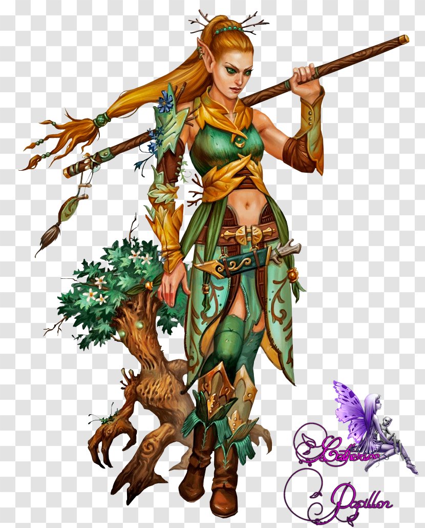 Dungeons & Dragons Druid Pathfinder Roleplaying Game Half-elf - Woman Warrior - Elf Transparent PNG