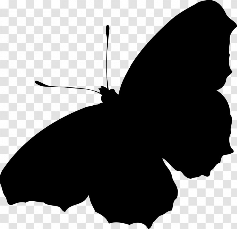 Butterfly Silhouette Clip Art - Monochrome Photography - Peacock Transparent PNG