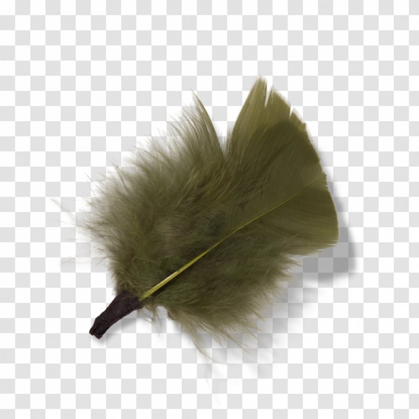 Feather - Material Transparent PNG