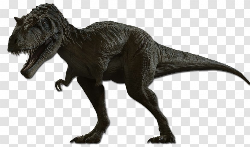 Dinosaur King Albertosaurus Tyrannosaurus Late Cretaceous Allosaurus Transparent PNG