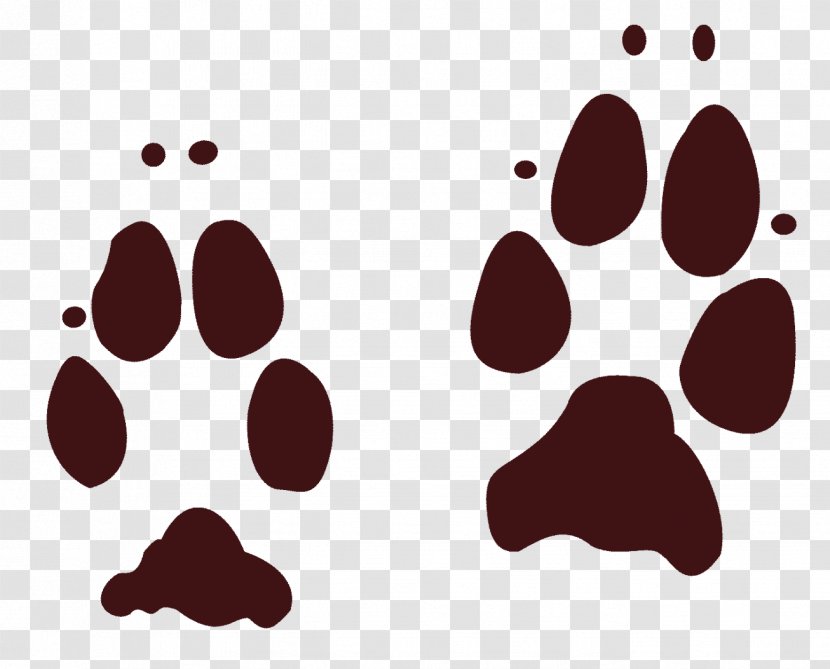 Coyote Dog Animal Track Footprint Paw - Footprints Transparent PNG