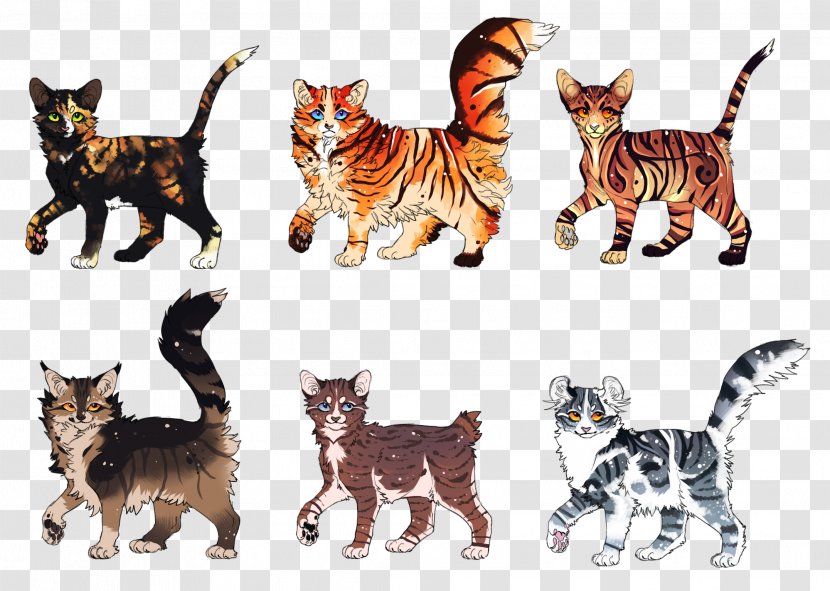 Kitten Wildcat Felidae Tiger - Mammal Transparent PNG
