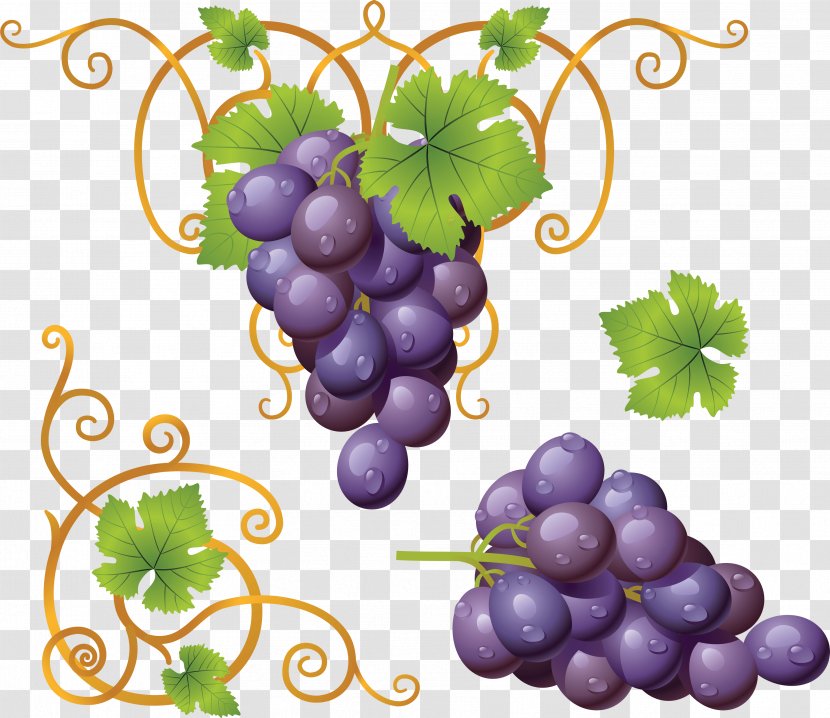 Common Grape Vine Wine Leaves - Vitis - Image Transparent PNG