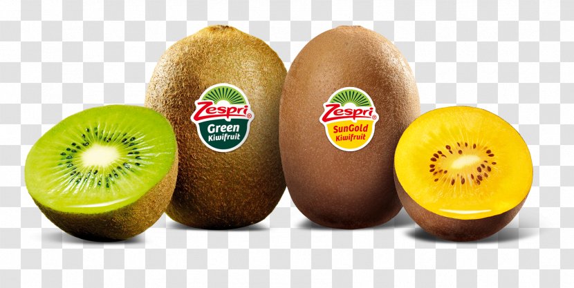 Kiwifruit Industry In New Zealand Fruit Salad Zespri International Limited Transparent PNG