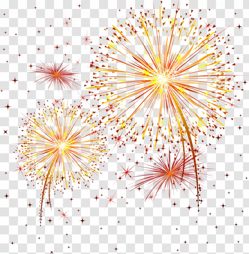 Fireworks Clip Art - Flower Transparent PNG