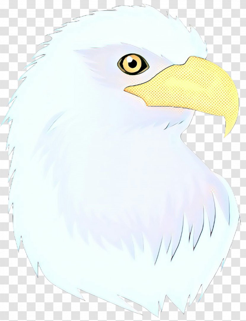 Watercolor Retro - Beak - Accipitridae Sea Eagle Transparent PNG