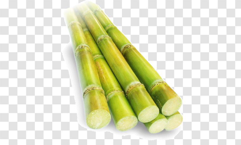 Sugarcane Juice Pakistan - Ingredient - Sugar Transparent PNG