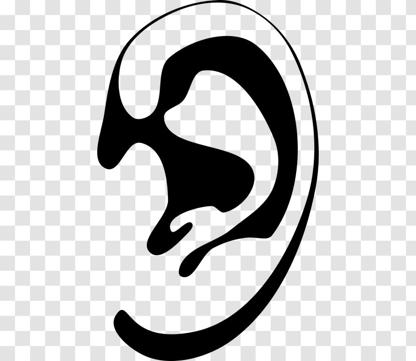 Ear Drawing Clip Art - Monochrome Photography Transparent PNG