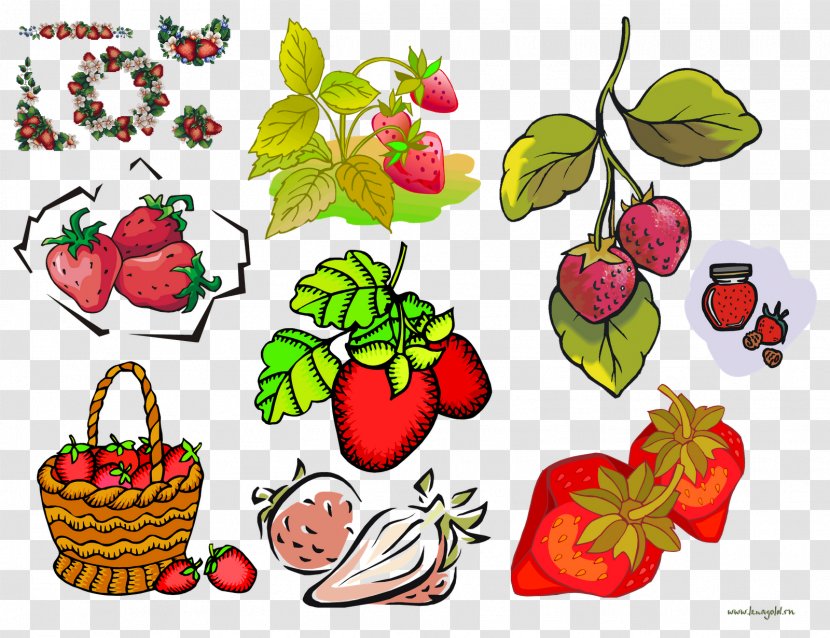 Strawberry Food Floral Design - Strawberries - Fruit Transparent PNG