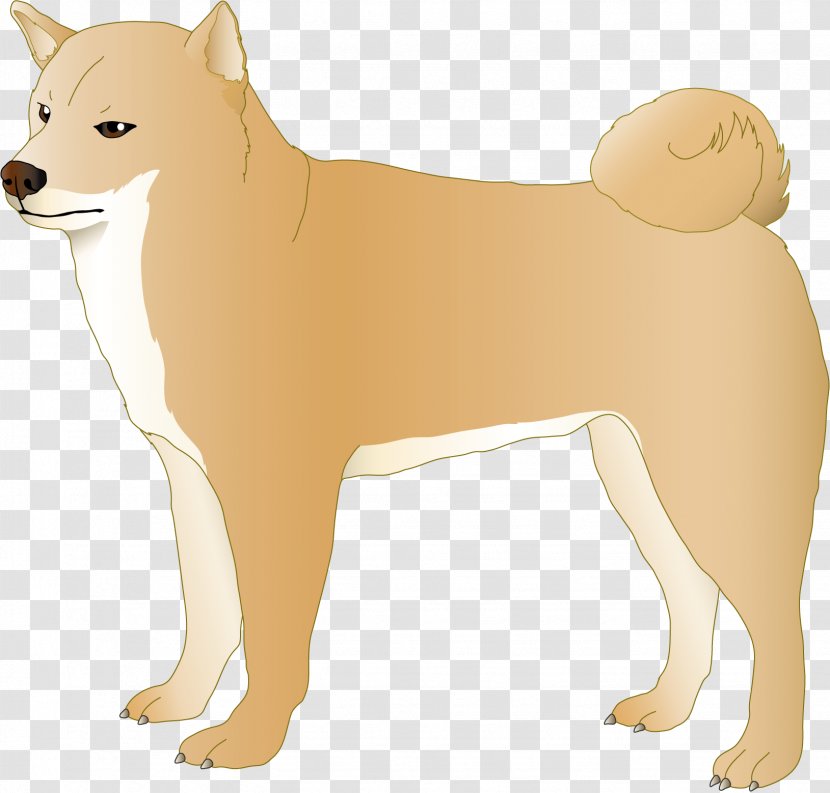 Finnish Spitz Canaan Dog Puppy Breed - Group - Doggie Transparent PNG