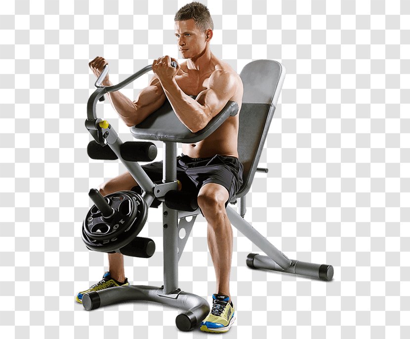 Bench Exercise Gold's Gym Weight Training Fitness Centre - Watercolor - Hoist Equipment Transparent PNG