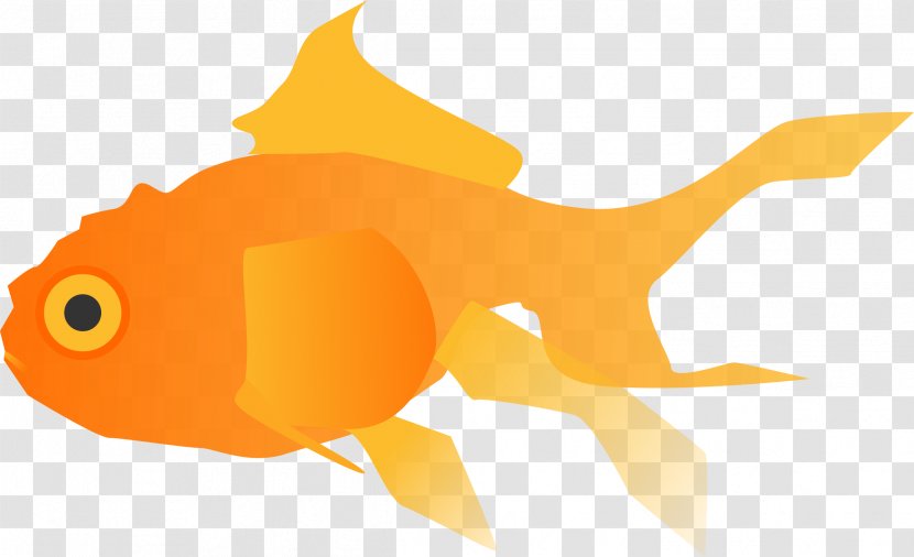 Goldfish Common Carp Zazzle Aquarium Transparent PNG