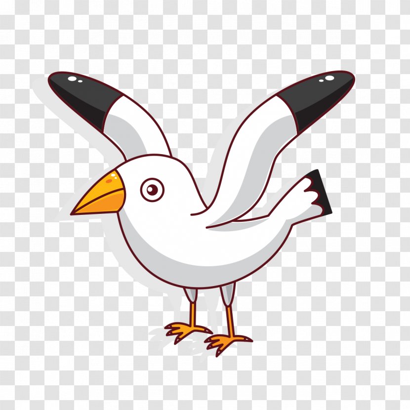 Owl Vector Graphics Bird Drawing Illustration - Beak - Gulls Transparent PNG