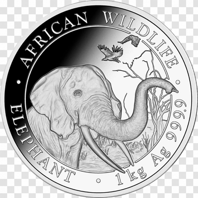 Somalia Bullion Coin Silver - Currency Transparent PNG