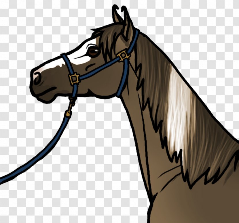 Mane Mustang Halter Stallion Horse Harnesses - Bridle Transparent PNG