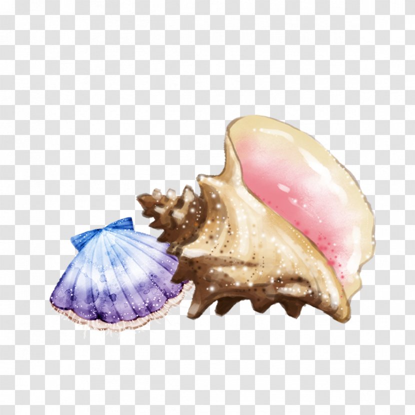 Sea Snail Seashell Conch - Designer - Shells And Transparent PNG