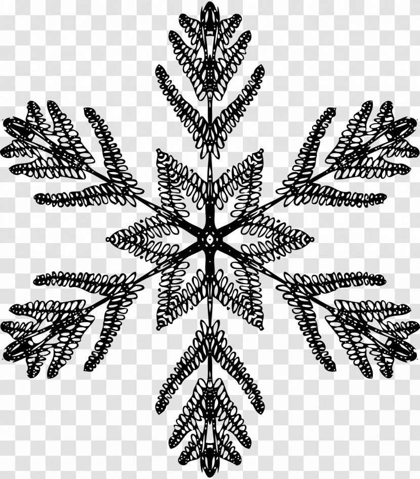 Black And White Snowflake Symmetry Transparent PNG