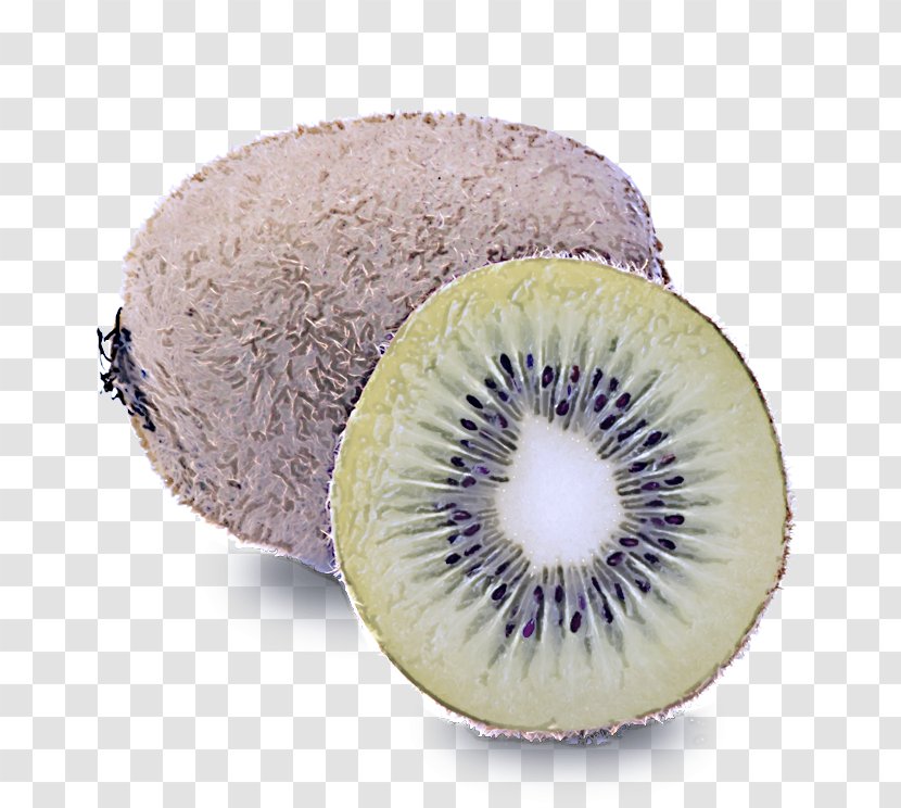 Kiwifruit Fruit Food Hardy Kiwi Plant - Superfood Transparent PNG