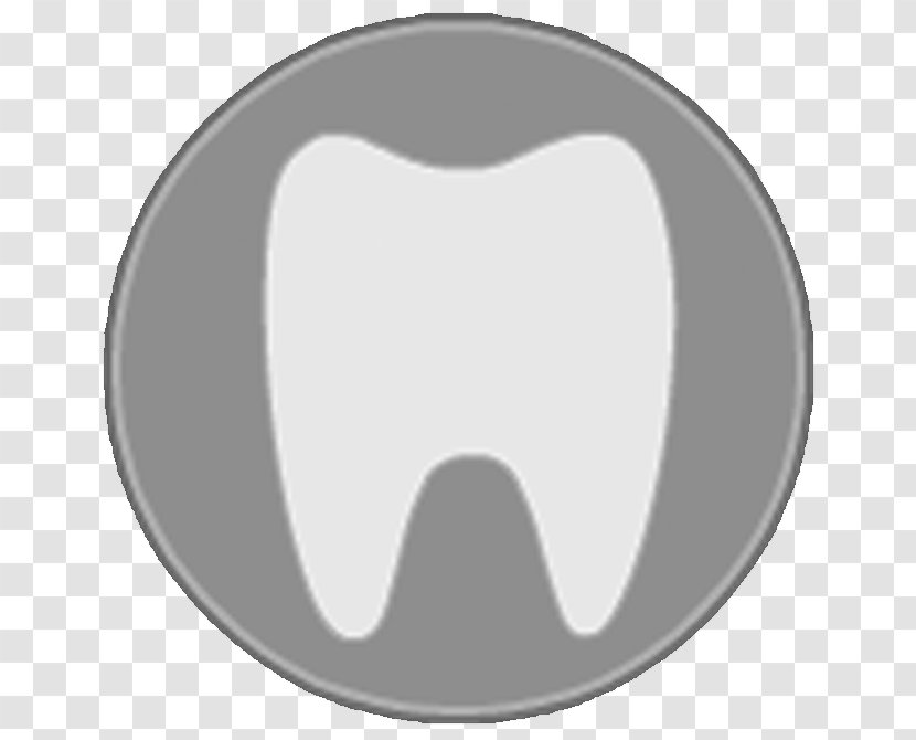Miami Home Insurance Car-boat Tooth - Frame - Cartoon Transparent PNG