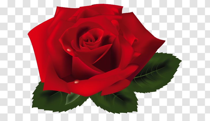Rose Clip Art - Red Transparent PNG