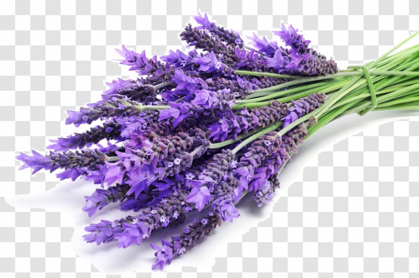 Aroma Compound Lavender Odor Aromatherapy Perfume - Violet Transparent PNG