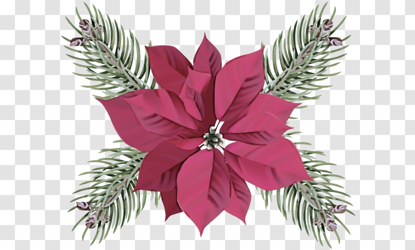 Leaf Plant Pink Vascular Flower - Tree - Magenta Pine Transparent PNG