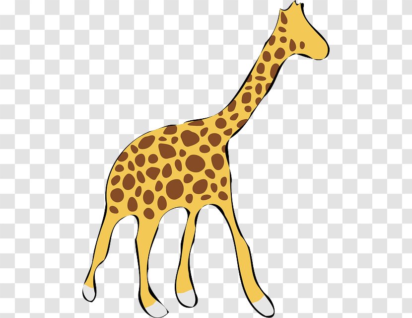 Giraffe Drawing Clip Art - Neck Transparent PNG