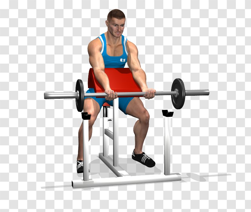 Powerlifting Barbell Bench Panca Scott Biceps - Cartoon Transparent PNG