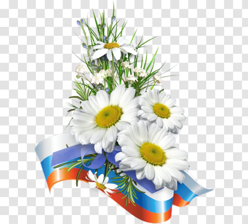 Common Daisy Happiness Cut Flowers Love - Floristry - Flower Transparent PNG