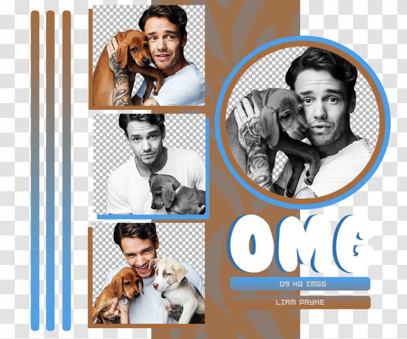 Louis Tomlinson Musician DeviantArt - Brand - Omg Emote Transparent PNG