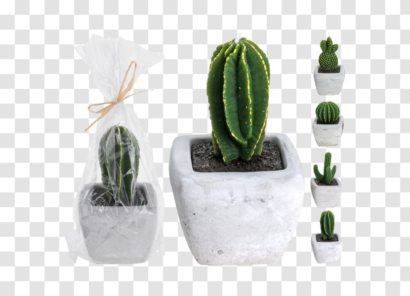 Cactaceae Candle Houseplant Wax - Flowerpot Transparent PNG