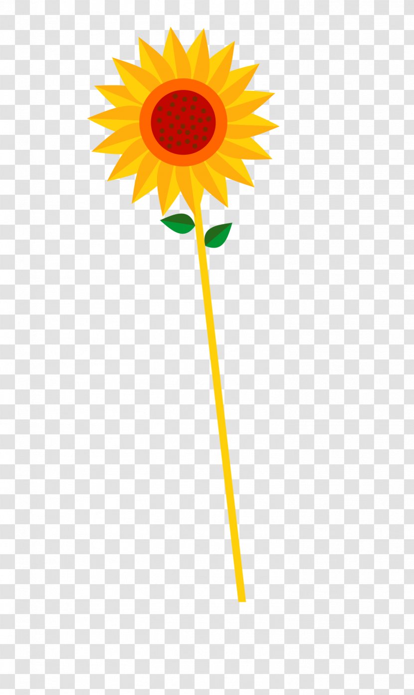 Common Sunflower Euclidean Vector Transparent PNG