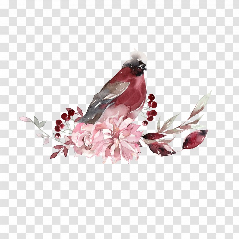 Watercolor Flower Background - Plant - Perching Bird Transparent PNG