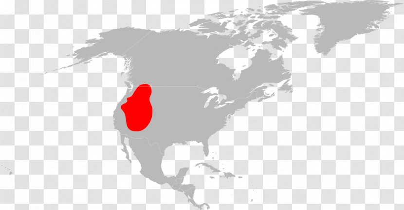 United States Blank Map World Wikimedia Commons - Heart Transparent PNG