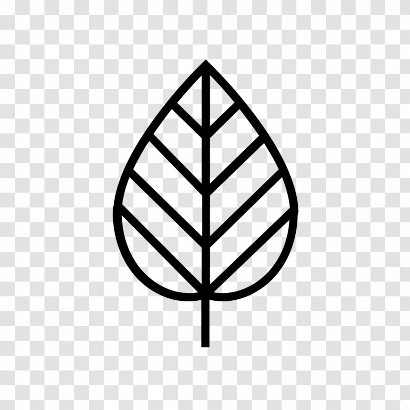 Leaf - Coloring Book - Leisure And Health Transparent PNG