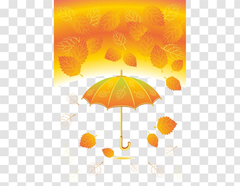 Autumn Leaf Color - Yellow - Creative Background Vector Transparent PNG