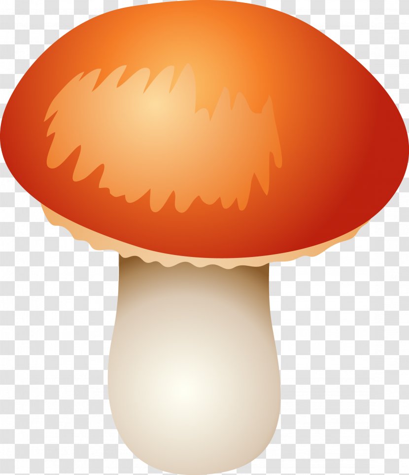 Mushroom Clip Art - Lighting Accessory Transparent PNG