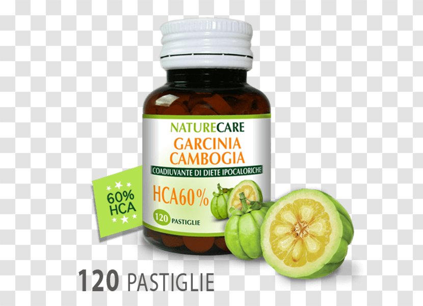 Garcinia Cambogia Dietary Supplement Weight Loss Anti-obesity Medication Hydroxycitric Acid - Food - Health Transparent PNG