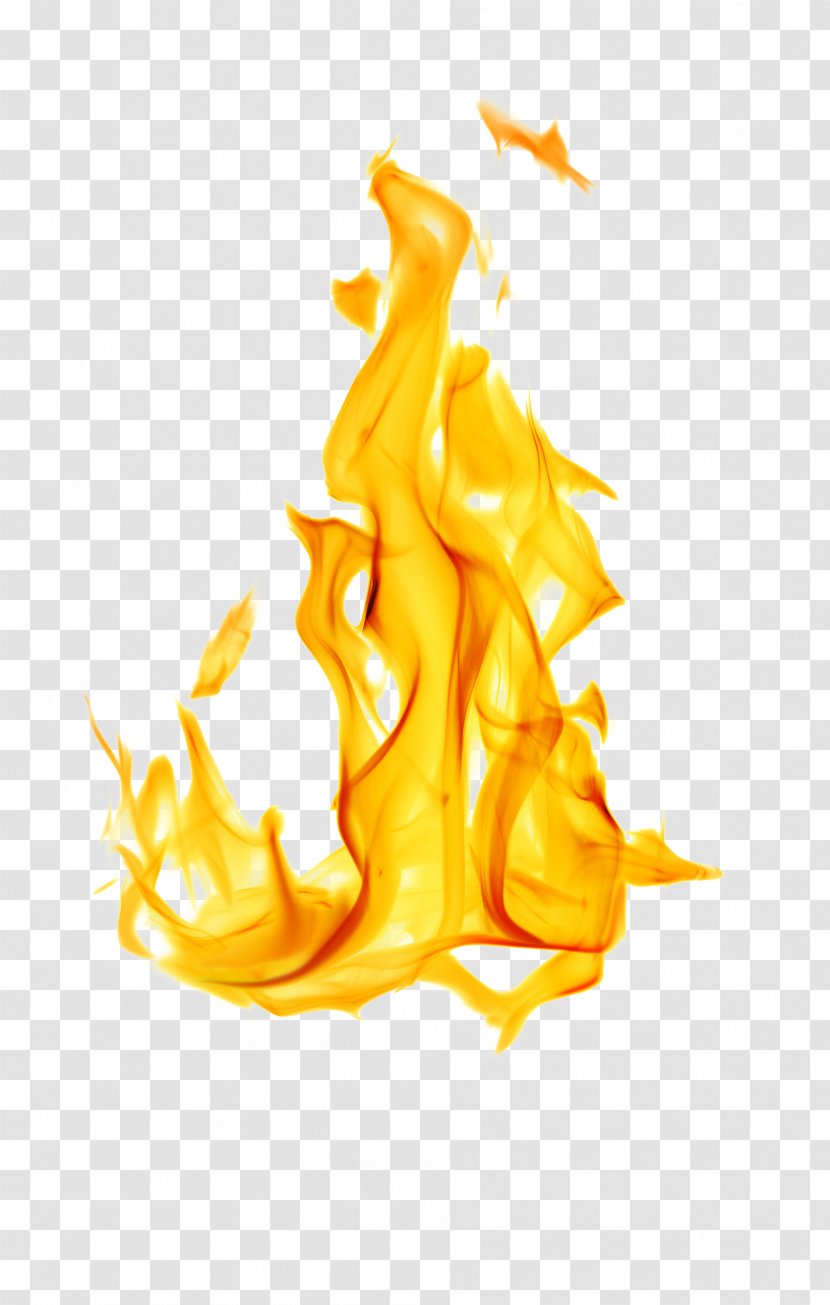 Flame Fire White Stock Photography - Shutterstock Transparent PNG