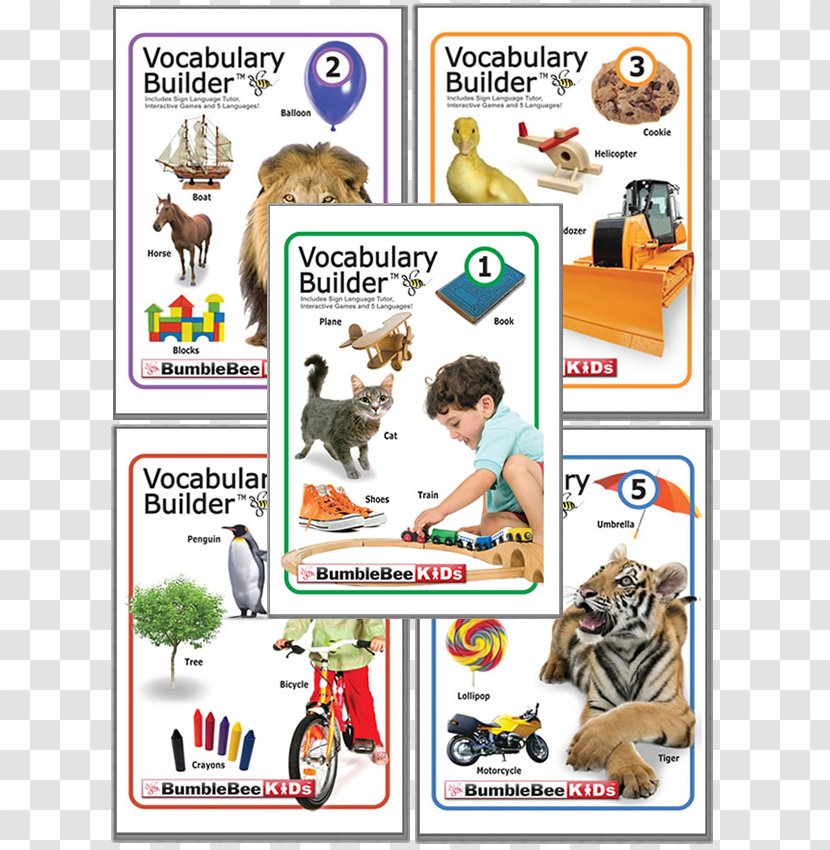 Vocabulary Builder Child Infant Action Words 3 - Language Transparent PNG