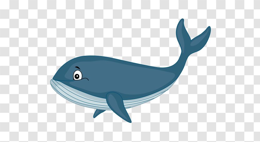 Common Bottlenose Dolphin Cetacea Cartoon Home Page Clip Art - Blue Whale - Şener Şen Transparent PNG