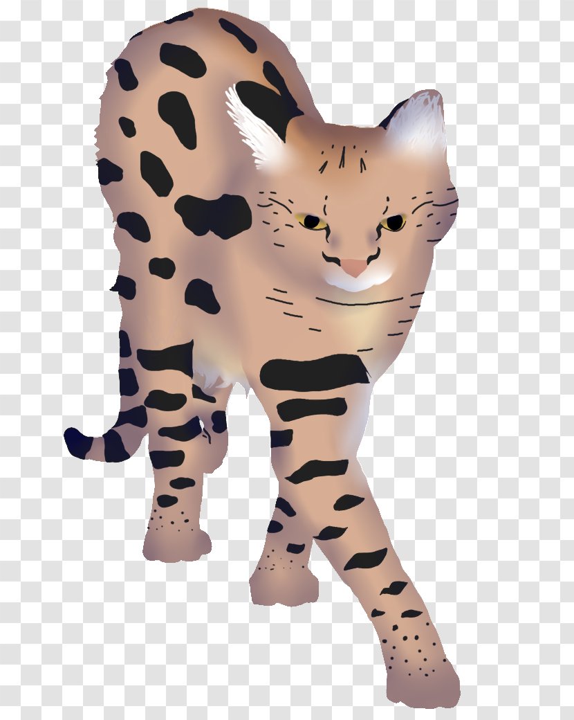 Whiskers Tiger Cheetah Cat Wildlife - Big Cats Transparent PNG
