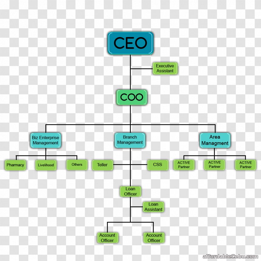 Organizational Chart Diagram Structure Cooperative - Business Transparent PNG