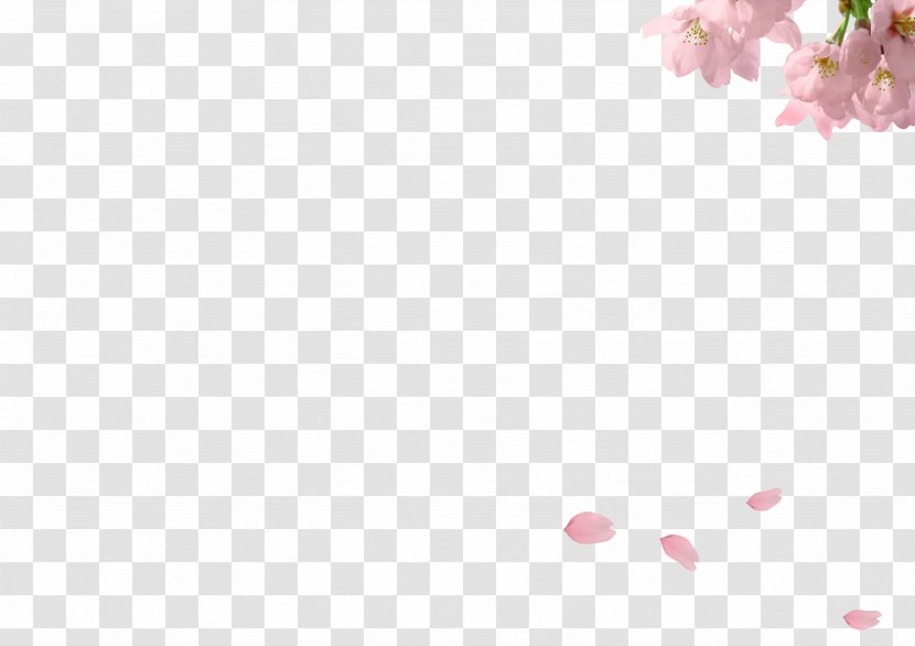 Petal Angle Pink Pattern - Para Sakura - Petals Falling Transparent PNG