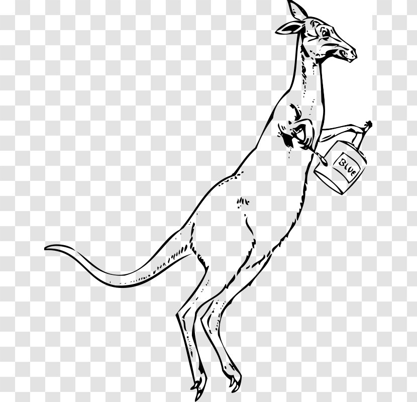 Drawing Cartoon Photography Clip Art - Pictures Of Kangaroos Transparent PNG