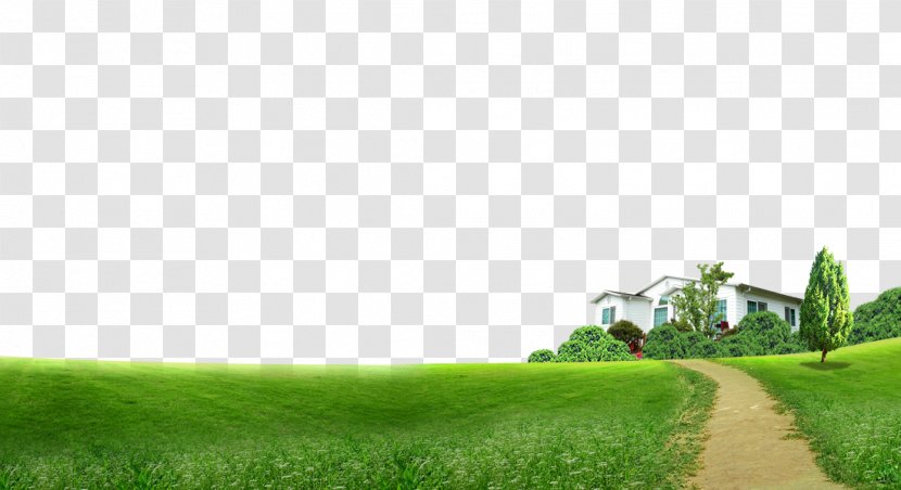 Lawn Grass Download Computer File - Resource - Pastoral Building Background Material Transparent PNG