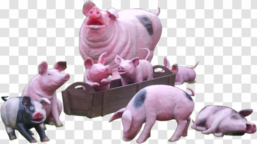 Domestic Pig Animal Hogs And Pigs Horse - Farm - Goat Transparent PNG