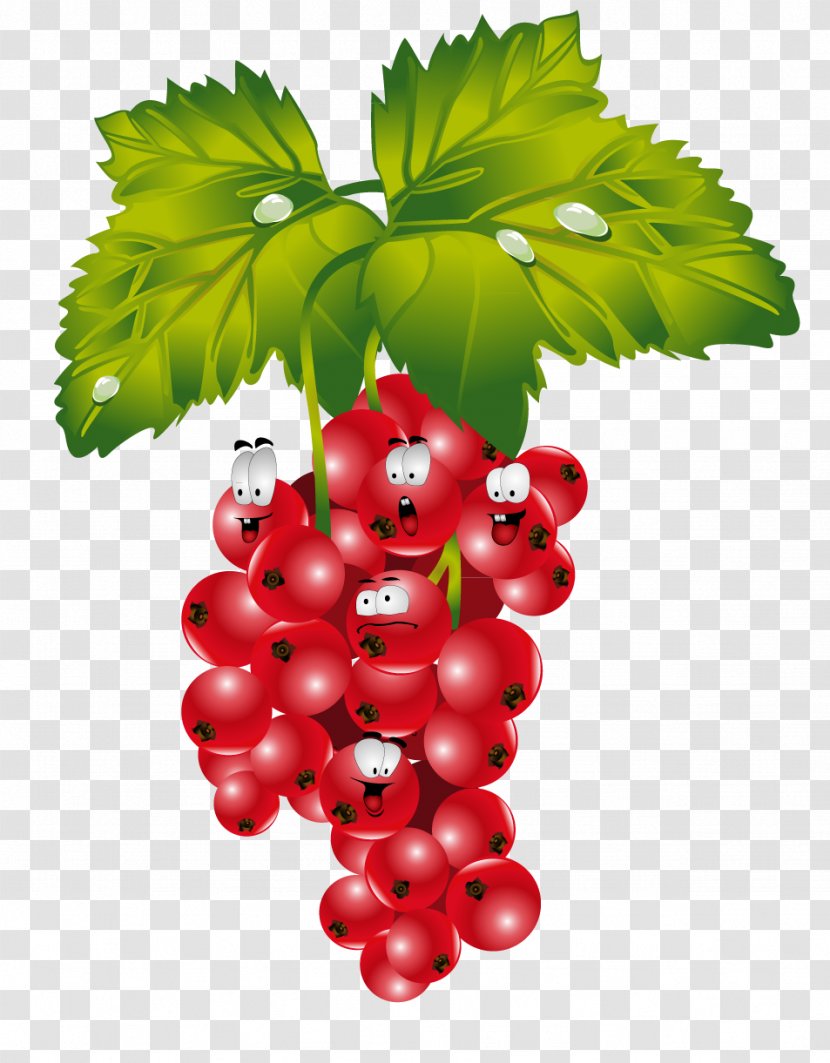 Redcurrant Blackcurrant Frutti Di Bosco Raspberry - Villain Transparent PNG